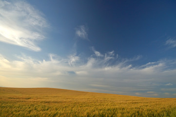 Plakat krajobrazu rolniczego