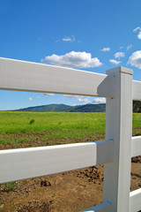 Fototapeta premium verdant spring landscape