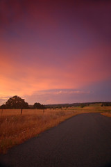 Obraz premium rural afternoon