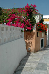 Fototapeta na wymiar greckie wyspy scena street