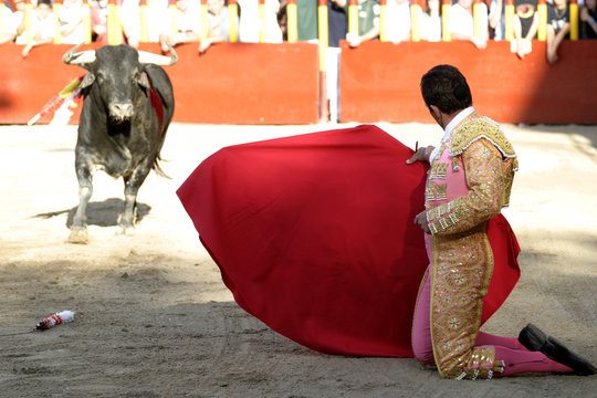 torero in knees