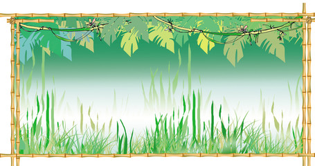 jungles background © vanda