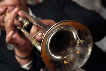 mirachi trumpet