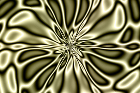 fractal bloom