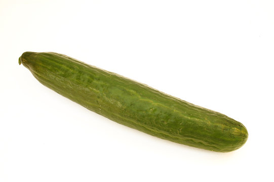 cucumber #3
