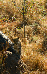 waiting and watching