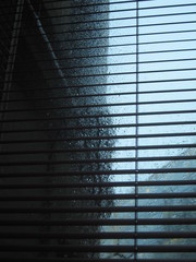 pluie sur ma fenêtre