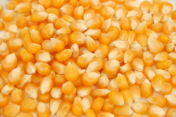 popcorn