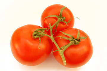tomato #2