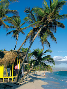 Bavaro Beach