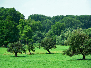 naturschutzgebiet