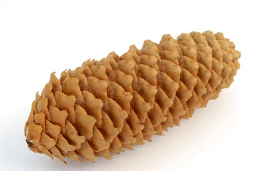 cone #1