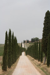 weingut inder toscana