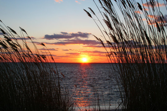 on moonlight bay
