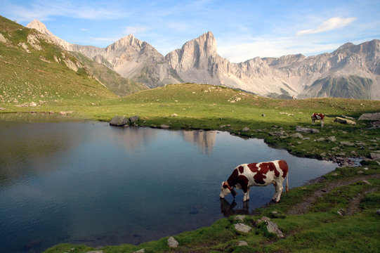 au lac d'ansab&egrave;re