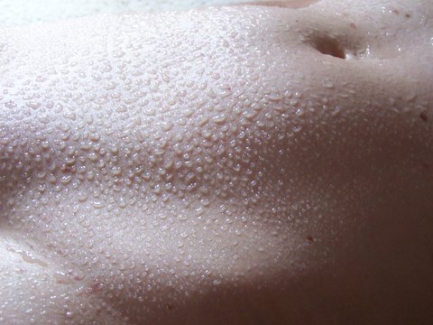 frauentorso na&szlig;