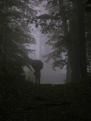 mensch im nebel