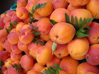 des abricots