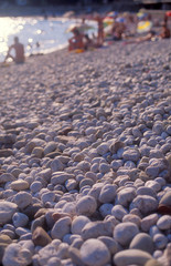 Obraz premium seashore pebbly_2