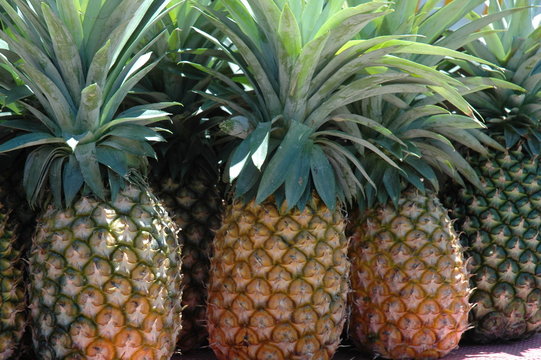 tasty pi&ntilde;a