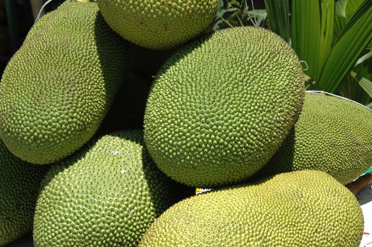 yaka fruit