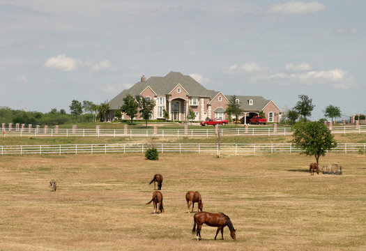 grand rural estate with horses 1