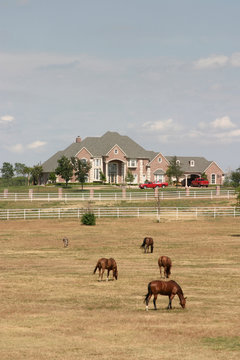 grand rural estate with horses 2