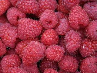 raspberries close-up