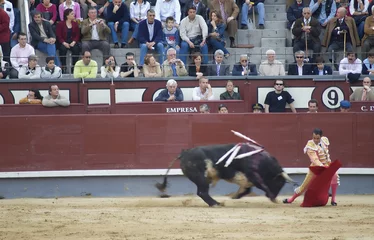 Zelfklevend Fotobehang Stierenvechten rennen naar sales-madrid