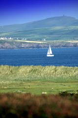 dingle bay