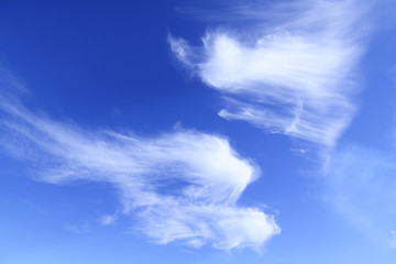 Fototapeta na wymiar chmury i niebo