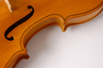 violin curves