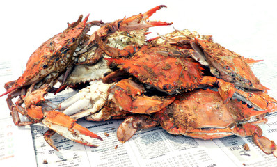 crab - cooked blue crabs - obrazy, fototapety, plakaty