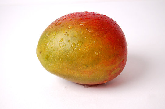 wet juicy mango