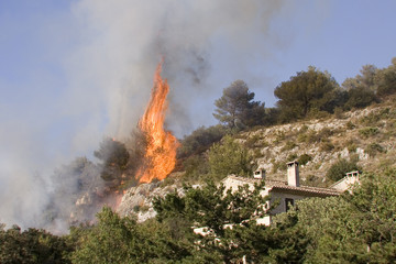 feux de forêts