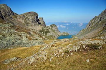 Fototapeta na wymiar alpine summer scenery