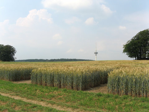 fernsehturm