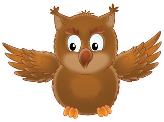 owl © Alexey Bannykh