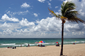 Obraz na płótnie Canvas beach in florida