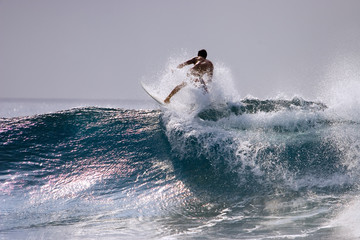 surfing maldives