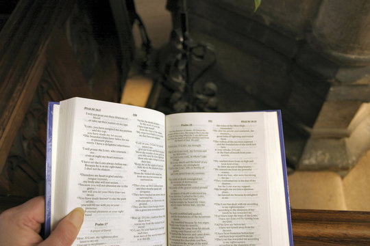 reading the psalms