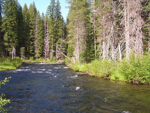 Rouge River