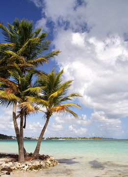 caribbean beach