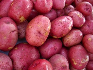 red potatoes