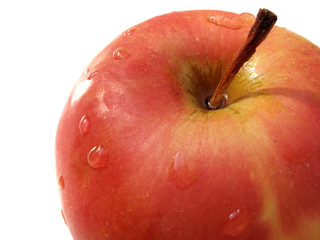fresh apple