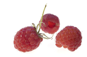 raspberry