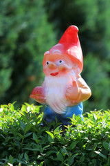 gartenzwerg auf der hecke