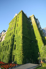 green building