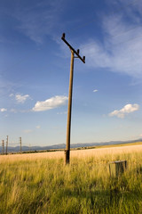 Fototapeta na wymiar electric pole in a field in helena