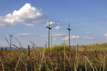 Obraz premium field in helena